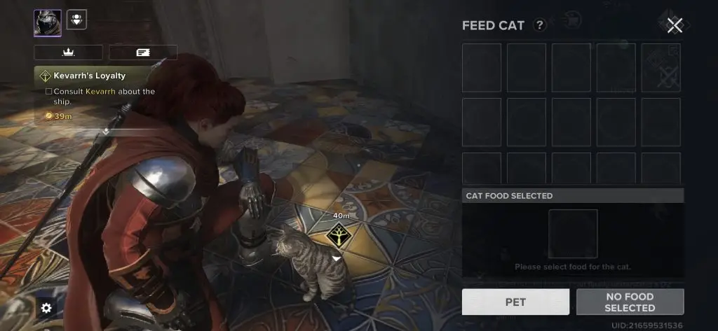 You can Pet & feed cats in Destiny: Rising!